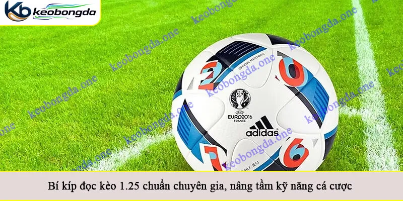Bí kíp đọc kèo 1.25 chuẩn chuyên gia, nâng tầm kỹ năng cá cược