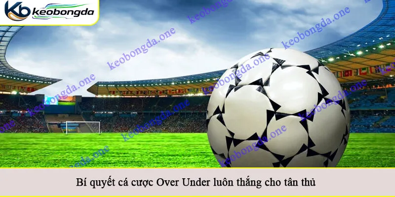 Bí quyết cá cược Over Under luôn thắng cho tân thủ