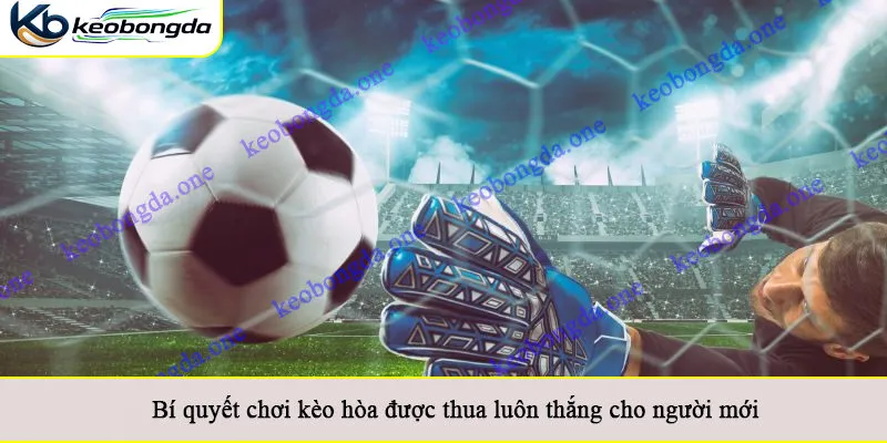 Bí quyết chơi kèo hòa được thua luôn thắng cho người mới
