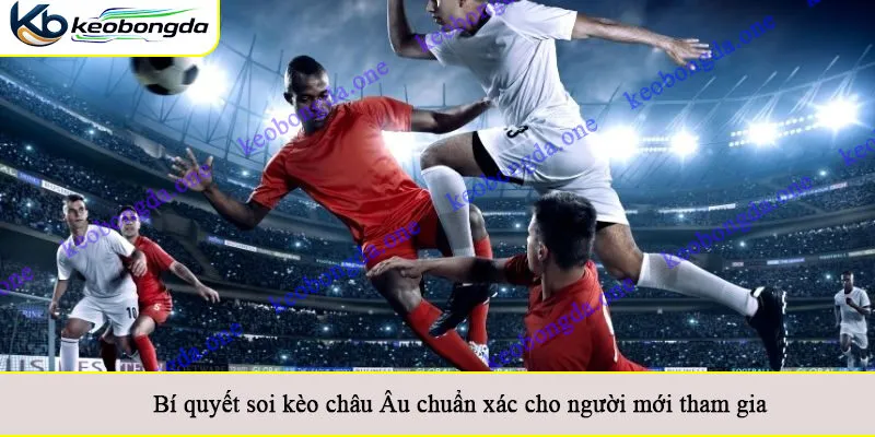 Bí quyết soi kèo châu Âu chuẩn xác cho người mới tham gia