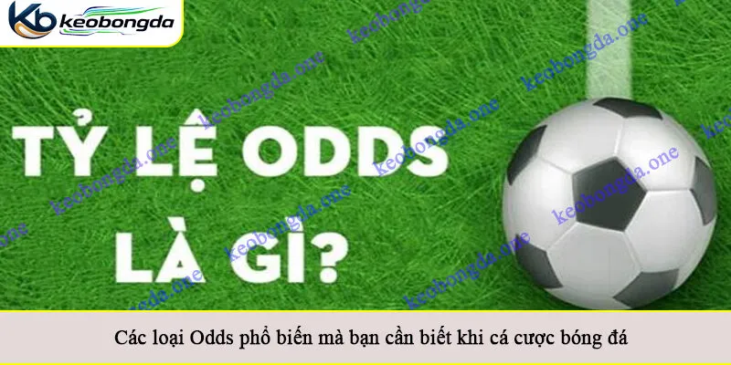Các loại Odds phổ biến mà bạn cần biết khi cá cược bóng đá