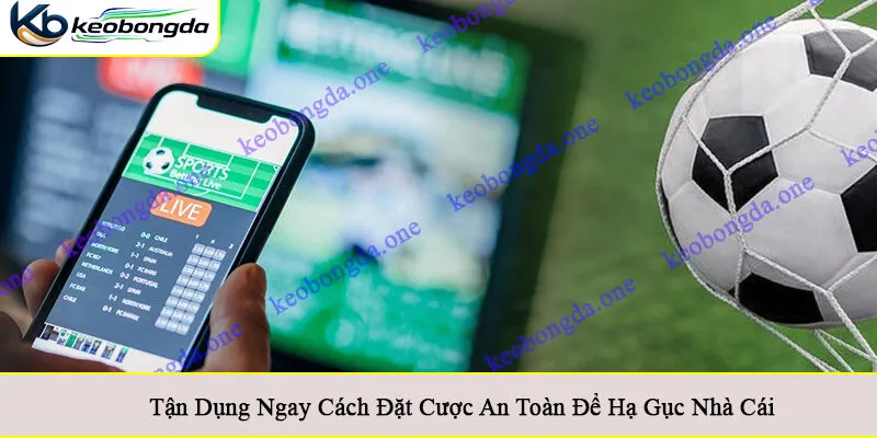 cách đặt cược an toàn
