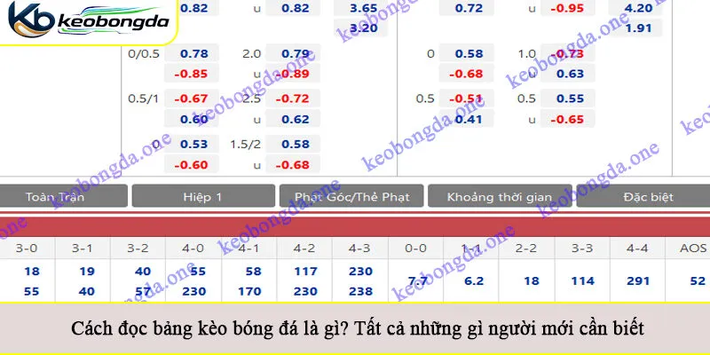 Cách đọc bảng kèo bóng đá là gì? Tất cả những gì người mới cần biết