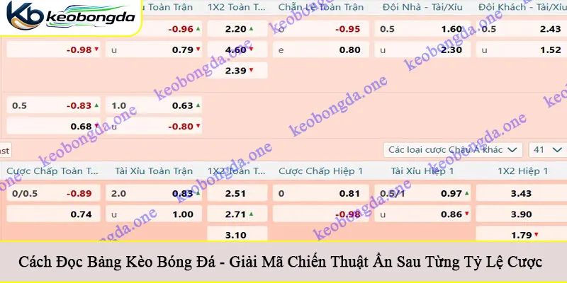 cách đọc bảng kèo bóng đá