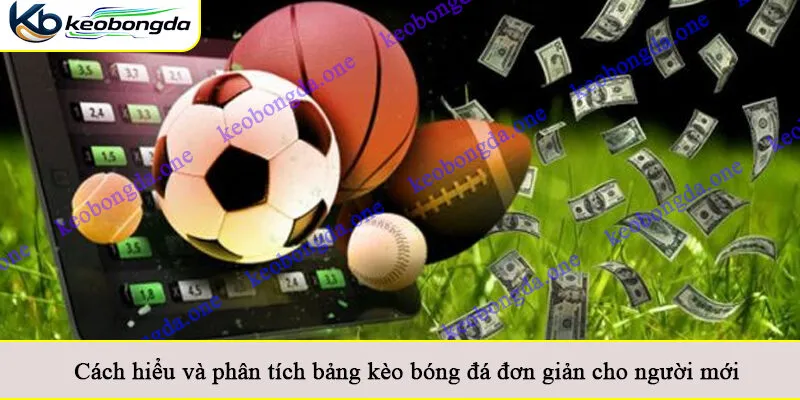 Cách hiểu và phân tích bảng kèo bóng đá đơn giản cho người mới