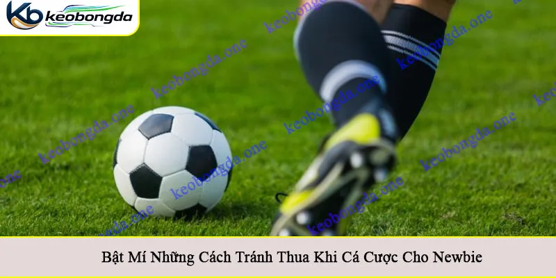 cách tránh thua khi cá cược