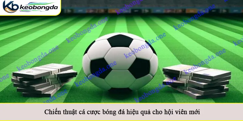 Chiến thuật cá cược bóng đá hiệu quả cho hội viên mới