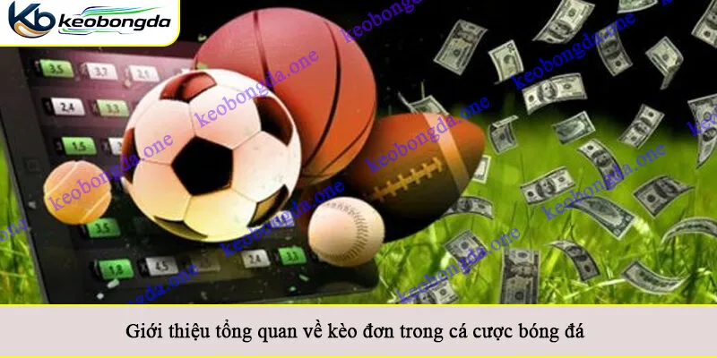 Giới thiệu tổng quan về kèo đơn trong cá cược bóng đá