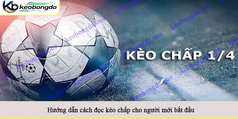 Hướng dẫn cách đọc kèo chấp cho người mới bắt đầu