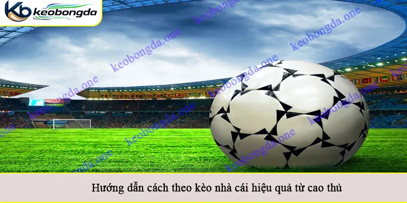Hướng dẫn cách theo kèo nhà cái hiệu quả từ cao thủ