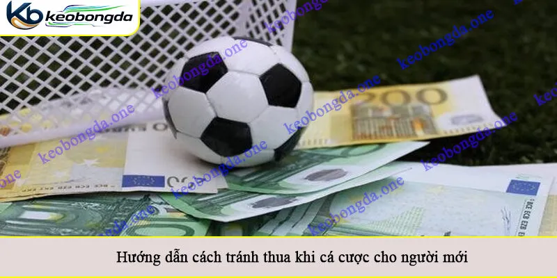 Hướng dẫn cách tránh thua khi cá cược cho người mới