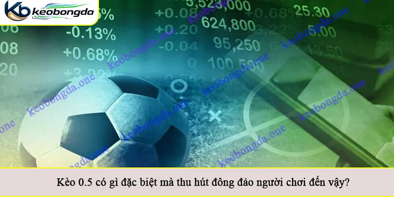 Kèo 0.5 có gì đặc biệt mà thu hút đông đảo người chơi đến vậy?