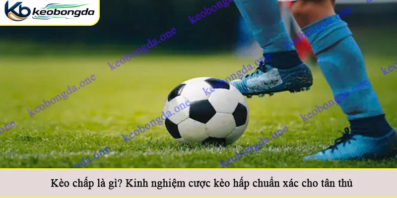 Kèo chấp là gì? Kinh nghiệm cược kèo hấp chuẩn xác cho tân thủ