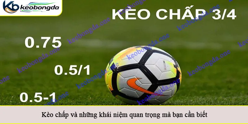 Kèo chấp và những khái niệm quan trọng mà bạn cần biết