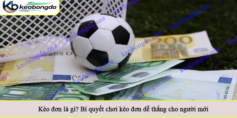 Kèo đơn là gì? Bí quyết chơi kèo đơn dễ thắng cho người mới