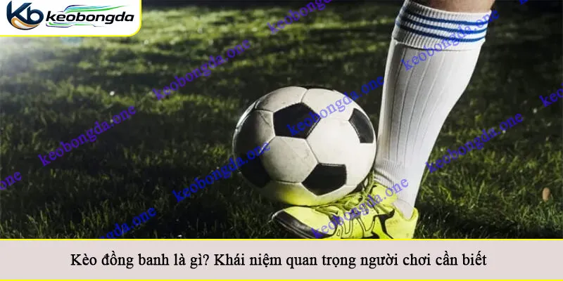 Kèo đồng banh là gì? Khái niệm quan trọng người chơi cần biết