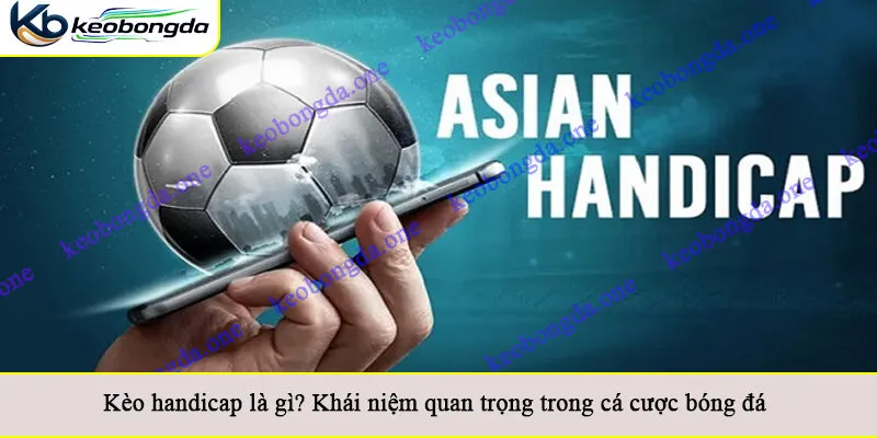 Kèo handicap là gì? Khái niệm quan trọng trong cá cược bóng đá