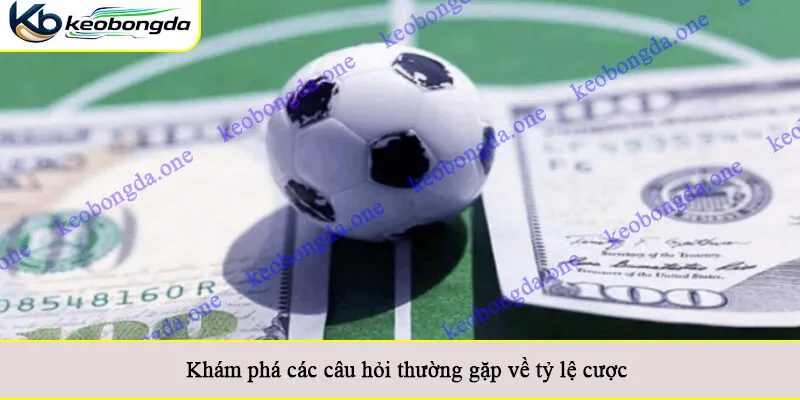 Khám phá các câu hỏi thường gặp về tỷ lệ cược