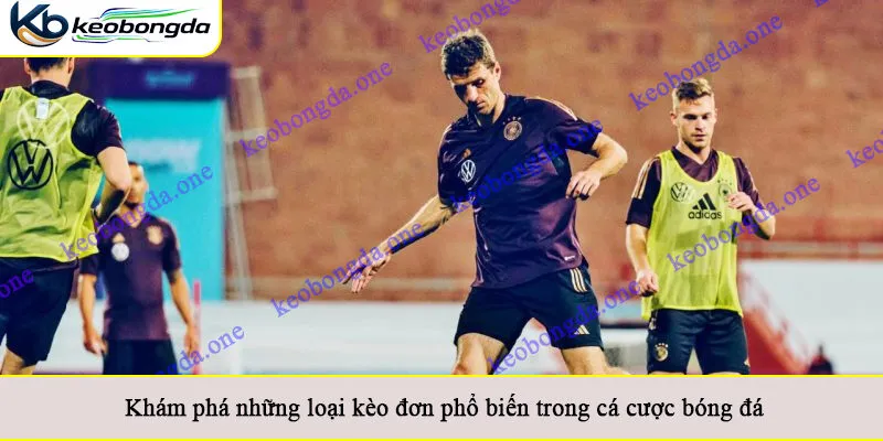 Khám phá những loại kèo đơn phổ biến trong cá cược bóng đá