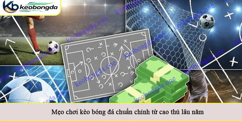 Mẹo chơi kèo bóng đá chuẩn chỉnh từ cao thủ lâu năm