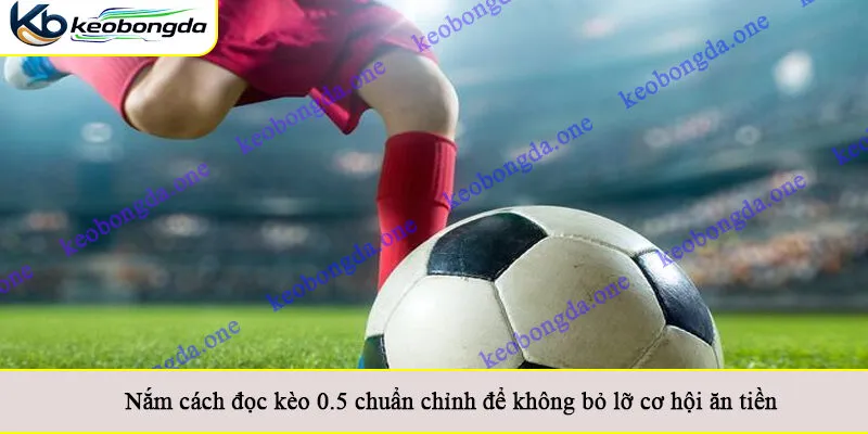 Nắm cách đọc kèo 0.5 chuẩn chỉnh để không bỏ lỡ cơ hội ăn tiền