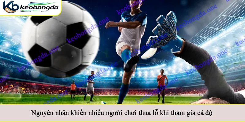 Nguyên nhân khiến nhiều người chơi thua lỗ khi tham gia cá độ