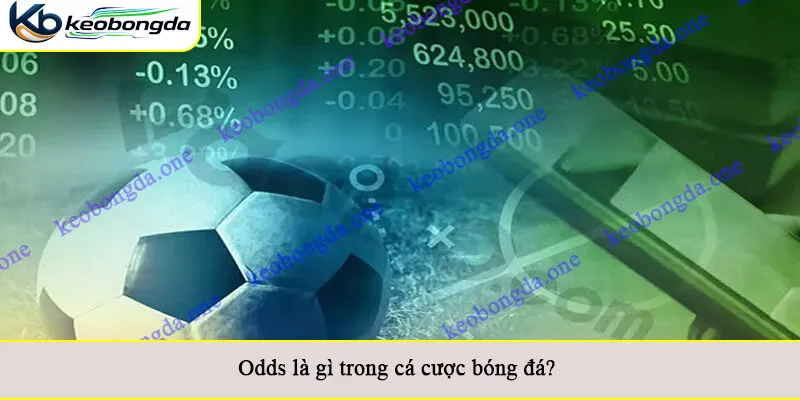 Odds là gì trong cá cược bóng đá?