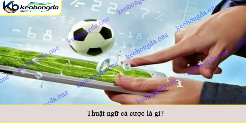 Thuật ngữ cá cược là gì?