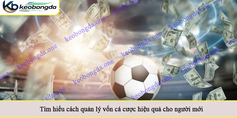 Tìm hiểu cách quản lý vốn cá cược hiệu quả cho người mới
