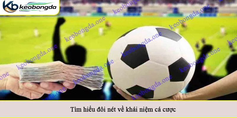 Tìm hiểu đôi nét về khái niệm cá cược