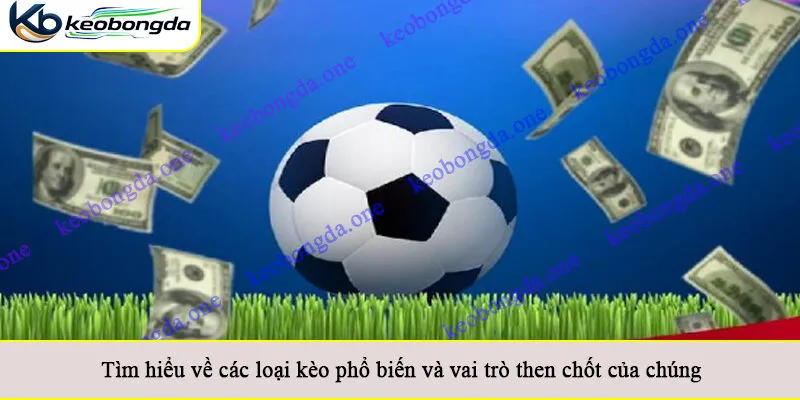 Tìm hiểu về các loại kèo phổ biến và vai trò then chốt của chúng