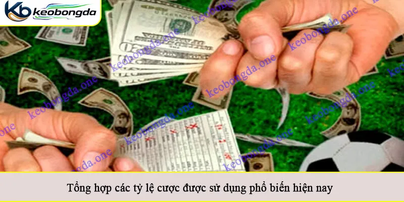 Tổng hợp các tỷ lệ cược được sử dụng phổ biến hiện nay