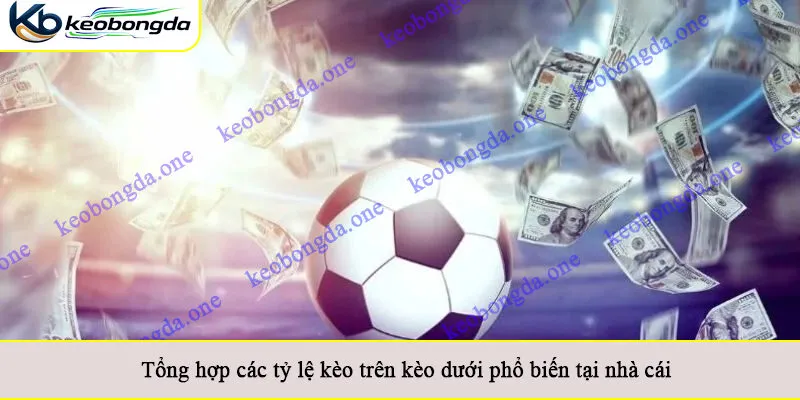 Tổng hợp các tỷ lệ kèo trên kèo dưới phổ biến tại nhà cái