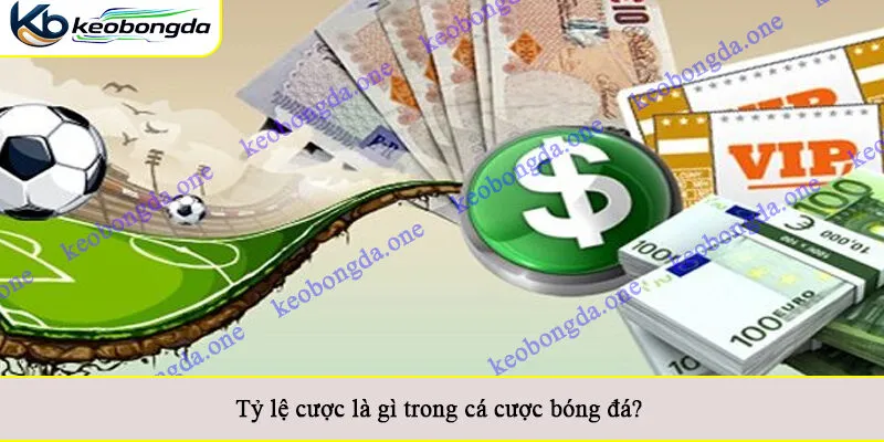 Tỷ lệ cược là gì trong cá cược bóng đá?