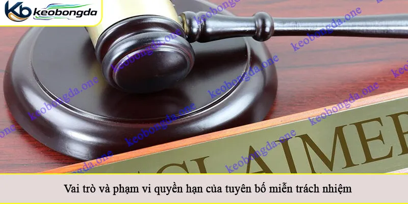 Vai trò và phạm vi quyền hạn của tuyên bố miễn trách nhiệm