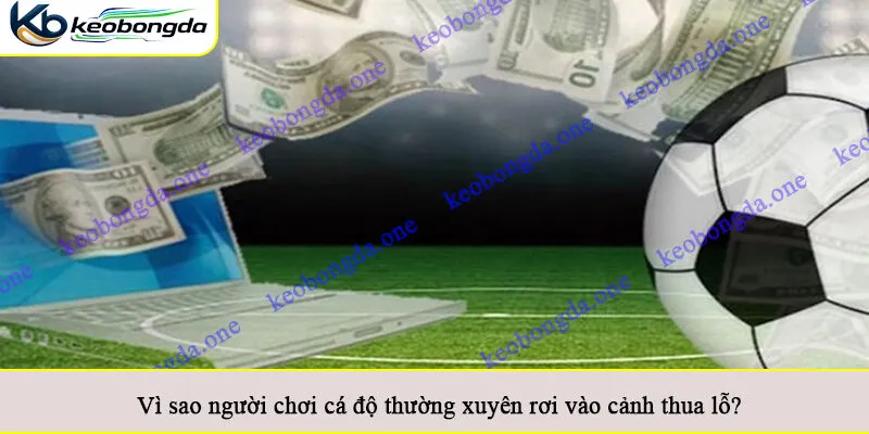 Vì sao người chơi cá độ thường xuyên rơi vào cảnh thua lỗ?